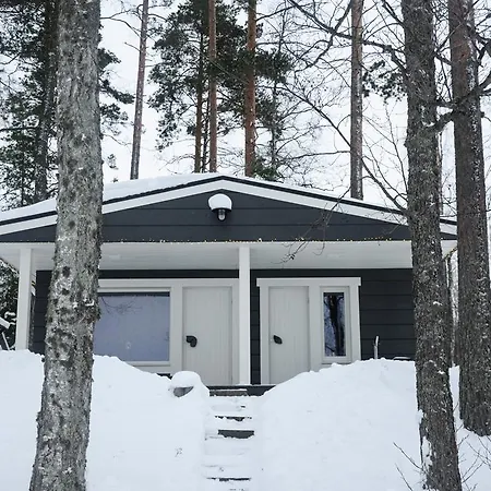 Terveenniemi